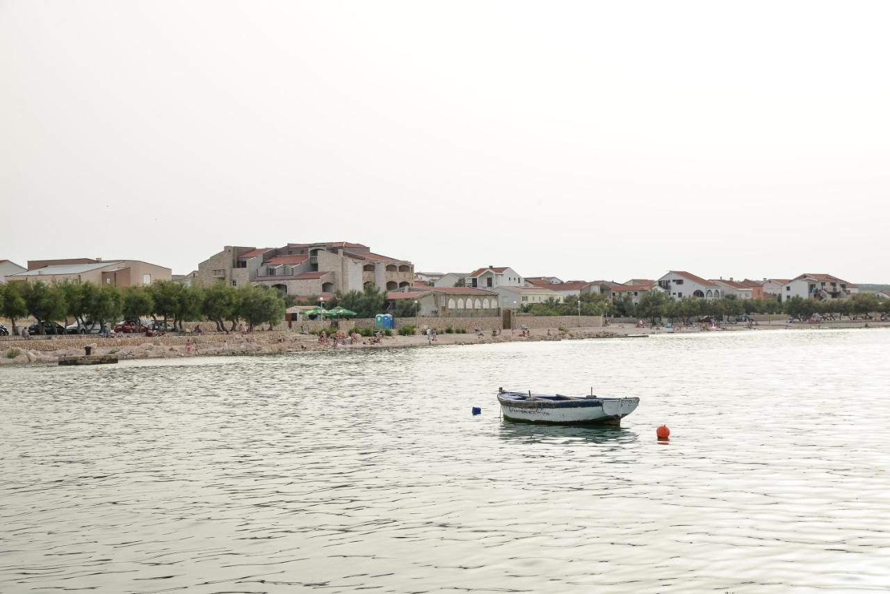 Olive * Jovici (Zadar)