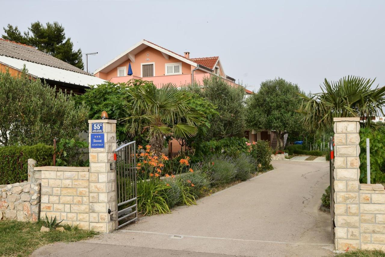 Apartment Olive Jovici (Zadar)