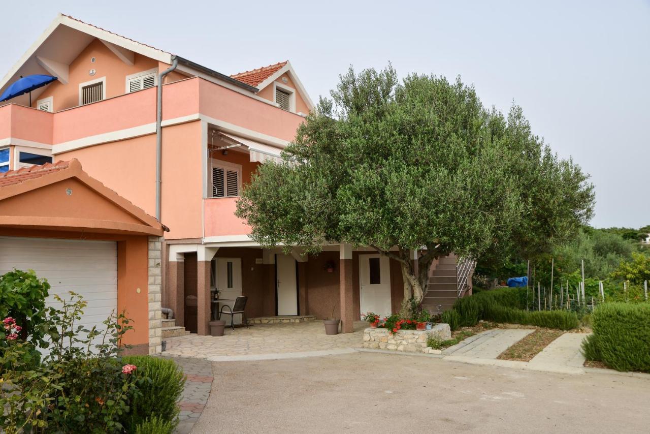 Olive Apartment