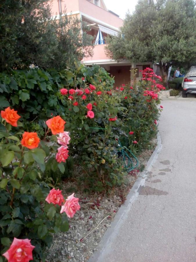 Apartment Olive Jovici (Zadar)